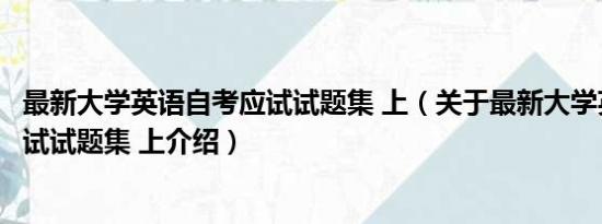 最新大学英语自考应试试题集 上（关于最新大学英语自考应试试题集 上介绍）