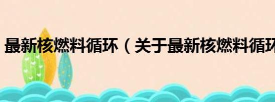 最新核燃料循环（关于最新核燃料循环介绍）