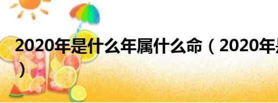 2020年是什么年属什么命（2020年是什么年）