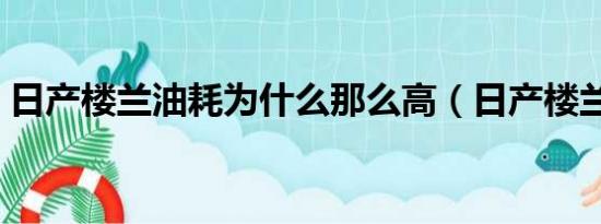 日产楼兰油耗为什么那么高（日产楼兰油耗）