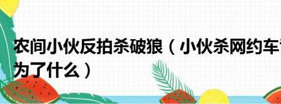 农间小伙反拍杀破狼（小伙杀网约车司机到底为了什么）