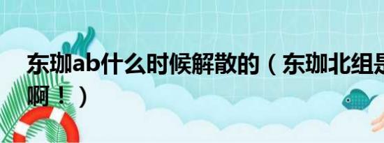 东珈ab什么时候解散的（东珈北组是个什么啊！）