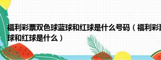 福利彩票双色球蓝球和红球是什么号码（福利彩票双色球蓝球和红球是什么）