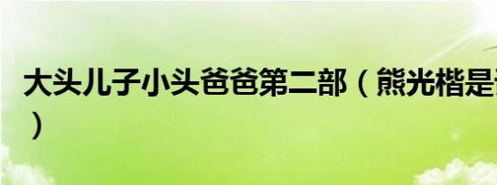 大头儿子小头爸爸第二部（熊光楷是谁的儿子）