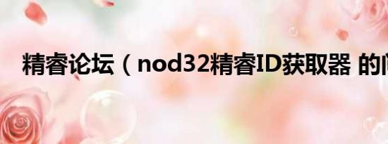 精睿论坛（nod32精睿ID获取器 的问题）