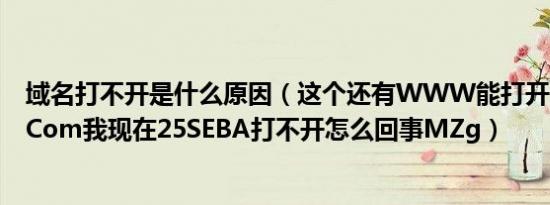 域名打不开是什么原因（这个还有WWW能打开25SEBA吗Com我现在25SEBA打不开怎么回事MZg）