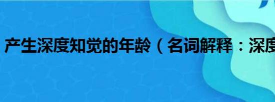 产生深度知觉的年龄（名词解释：深度知觉）