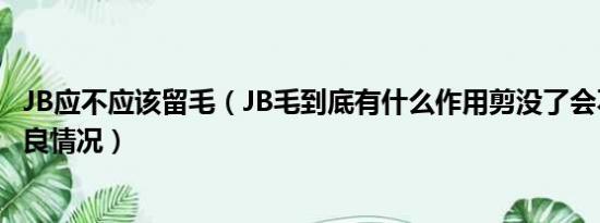 JB应不应该留毛（JB毛到底有什么作用剪没了会不会产生不良情况）