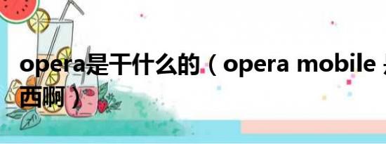 opera是干什么的（opera mobile 是什么东西啊）