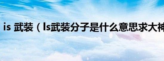 is 武装（ls武装分子是什么意思求大神解释）