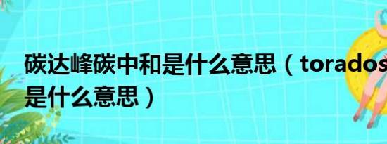 碳达峰碳中和是什么意思（toradostdaram是什么意思）