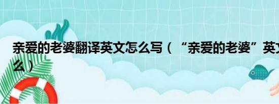 亲爱的老婆翻译英文怎么写（“亲爱的老婆”英文翻译是什么）