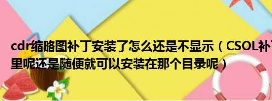 cdr缩略图补丁安装了怎么还是不显示（CSOL补丁安装到那里呢还是随便就可以安装在那个目录呢）