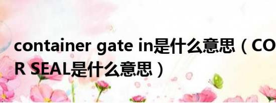 container gate in是什么意思（CONTAINER SEAL是什么意思）