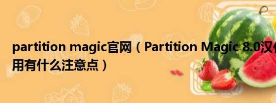 partition magic官网（Partition Magic 8.0汉化版如何使用有什么注意点）