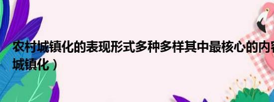 农村城镇化的表现形式多种多样其中最核心的内容是（农村城镇化）