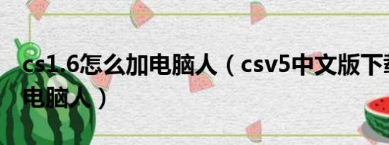 cs1.6怎么加电脑人（csv5中文版下载怎样加电脑人）