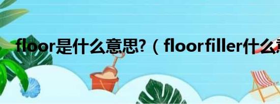 floor是什么意思?（floorfiller什么意思）