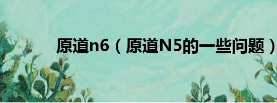 原道n6（原道N5的一些问题）