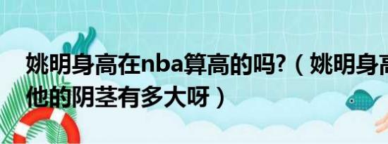 姚明身高在nba算高的吗?（姚明身高那么高他的阴茎有多大呀）