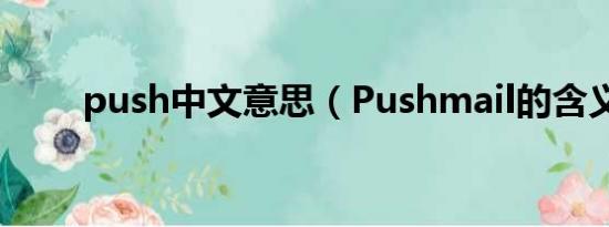 push中文意思（Pushmail的含义）