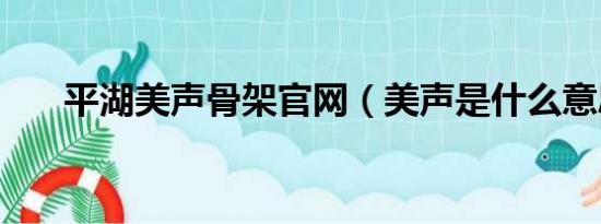 平湖美声骨架官网（美声是什么意思）