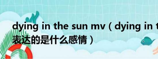 dying in the sun mv（dying in the sun表达的是什么感情）