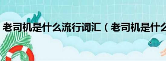 老司机是什么流行词汇（老司机是什么意思）