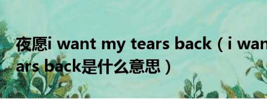 夜愿i want my tears back（i want my tears back是什么意思）