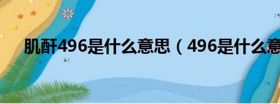 肌酐496是什么意思（496是什么意思）