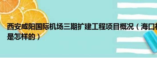 西安咸阳国际机场三期扩建工程项目概况（海口机场的概况是怎样的）