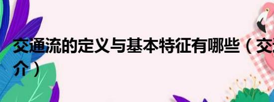 交通流的定义与基本特征有哪些（交通流的简介）