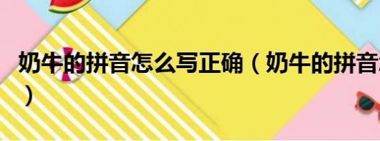 奶牛的拼音怎么写正确（奶牛的拼音怎么拼写）