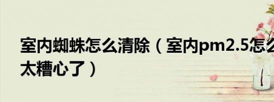 室内蜘蛛怎么清除（室内pm2.5怎么清除啊太糟心了）