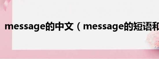 message的中文（message的短语和用法）