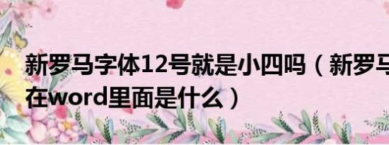 新罗马字体12号就是小四吗（新罗马体12号在word里面是什么）