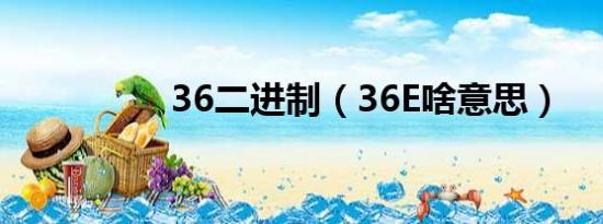 36二进制（36E啥意思）