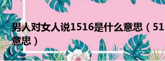 男人对女人说1516是什么意思（516是什么意思）