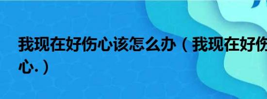 我现在好伤心该怎么办（我现在好伤心.好伤心.）