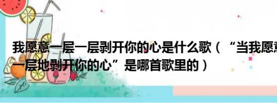 我愿意一层一层剥开你的心是什么歌（“当我愿意一层一层一层地剥开你的心”是哪首歌里的）