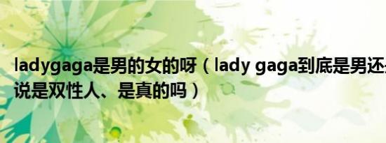 ladygaga是男的女的呀（lady gaga到底是男还是女的听人说是双性人、是真的吗）