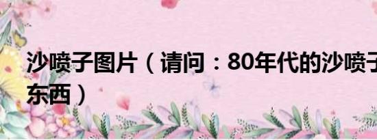 沙喷子图片（请问：80年代的沙喷子是什么东西）