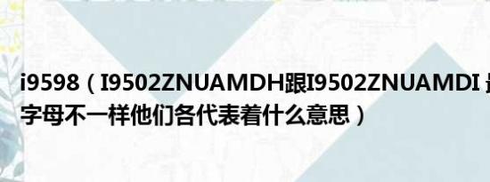 i9598（I9502ZNUAMDH跟I9502ZNUAMDI 最后的那个字母不一样他们各代表着什么意思）