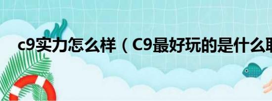 c9实力怎么样（C9最好玩的是什么职业）