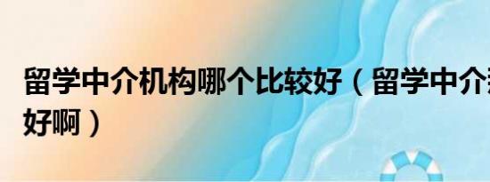 留学中介机构哪个比较好（留学中介那个比较好啊）