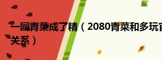 一园青菜成了精（2080青菜和多玩官方什么关系）