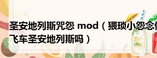 圣安地列斯咒怨 mod（猥琐小怨念做过侠盗飞车圣安地列斯吗）