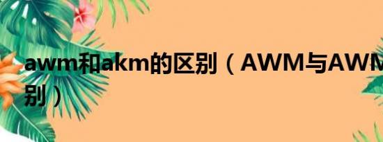 awm和akm的区别（AWM与AWM_A的区别）