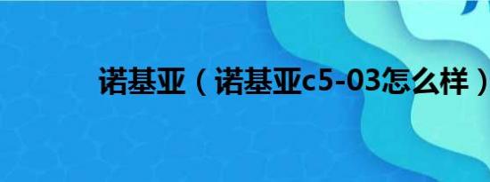 诺基亚（诺基亚c5-03怎么样）