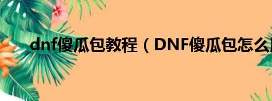 dnf傻瓜包教程（DNF傻瓜包怎么用）